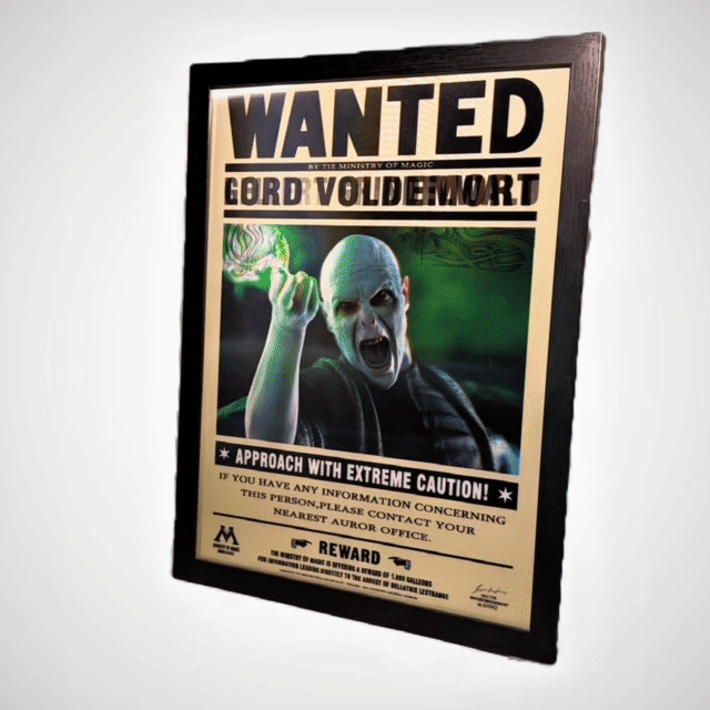 Harry Potter Wizadry Newspaper™️