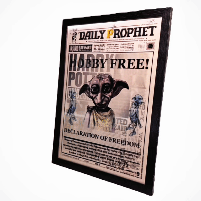 Harry Potter Wizadry Newspaper™️