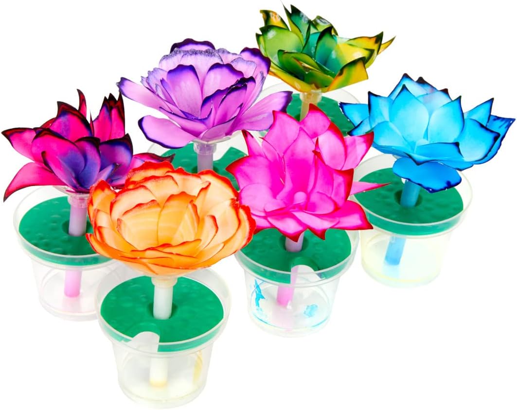 Paper Flower Science DIY Kit™️