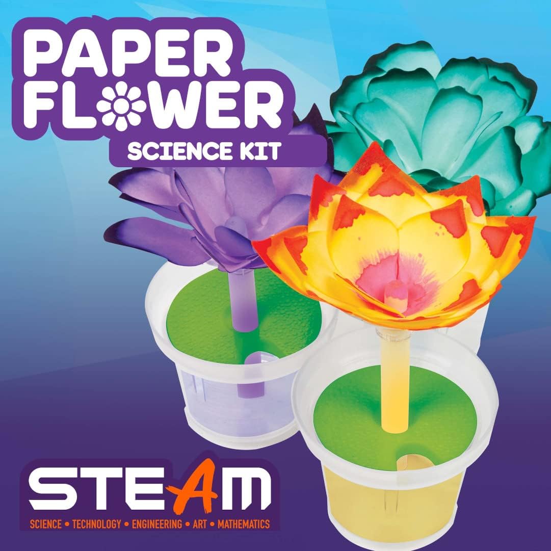 Paper Flower Science DIY Kit™️