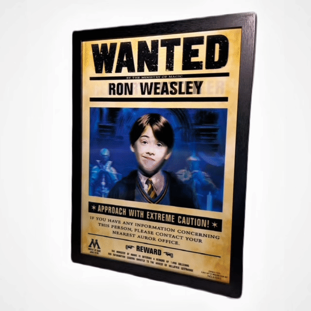 Harry Potter Wizadry Newspaper™️