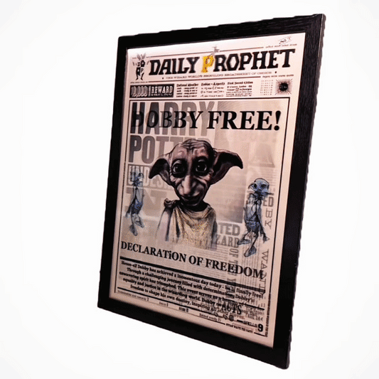 Harry Potter Wizadry Newspaper™️